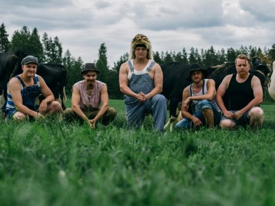 Steve'n'Seagulls (FIN)